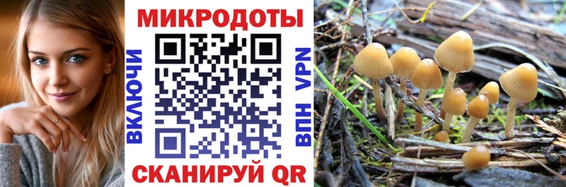Псилоцибиновые грибы Magic Shrooms  даркнет сайт  Гай 